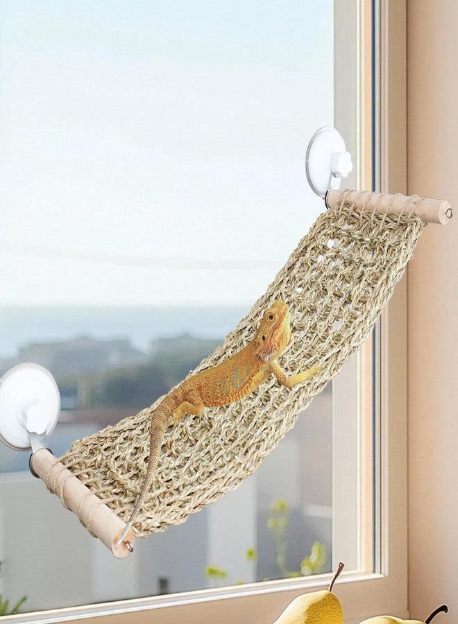 OOXYG Bearded Dragon Hammock for Window, 21.6 x 7.8 in Natural Seagrass Bearded Dragon Hammock, Large Lizard Window Perch, Reptile Hammock Bed with Powerful Suction Cups for Tank Accessories - Image 1